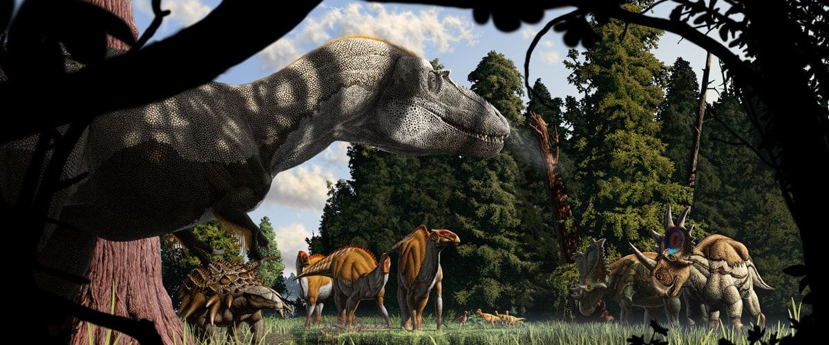 micropachycephalosaurus dinosaur